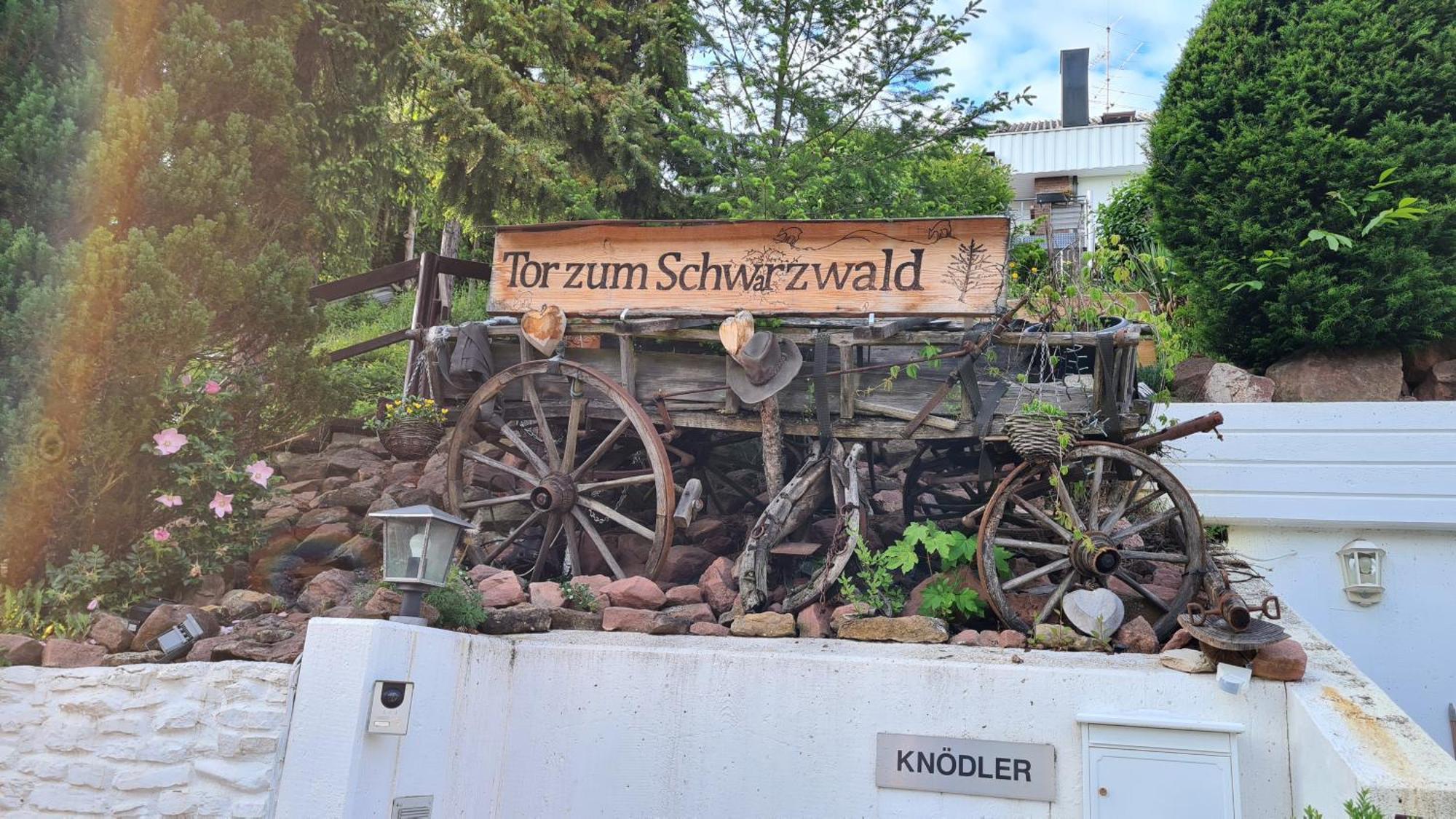 'Tor Zum Schwarzwald' Ferienwohnungen Wildberg  外观 照片